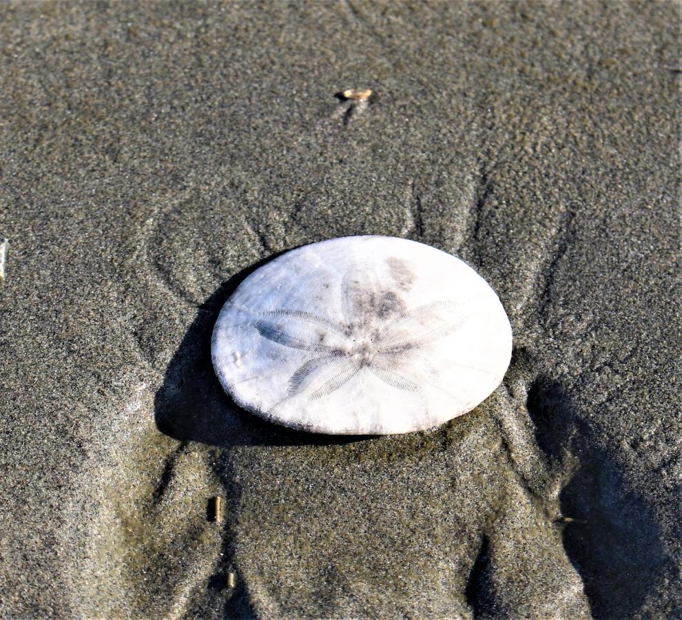 The Lowtide Motel Copalis Beach 外观 照片